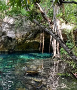 Cenote - Tulum - México